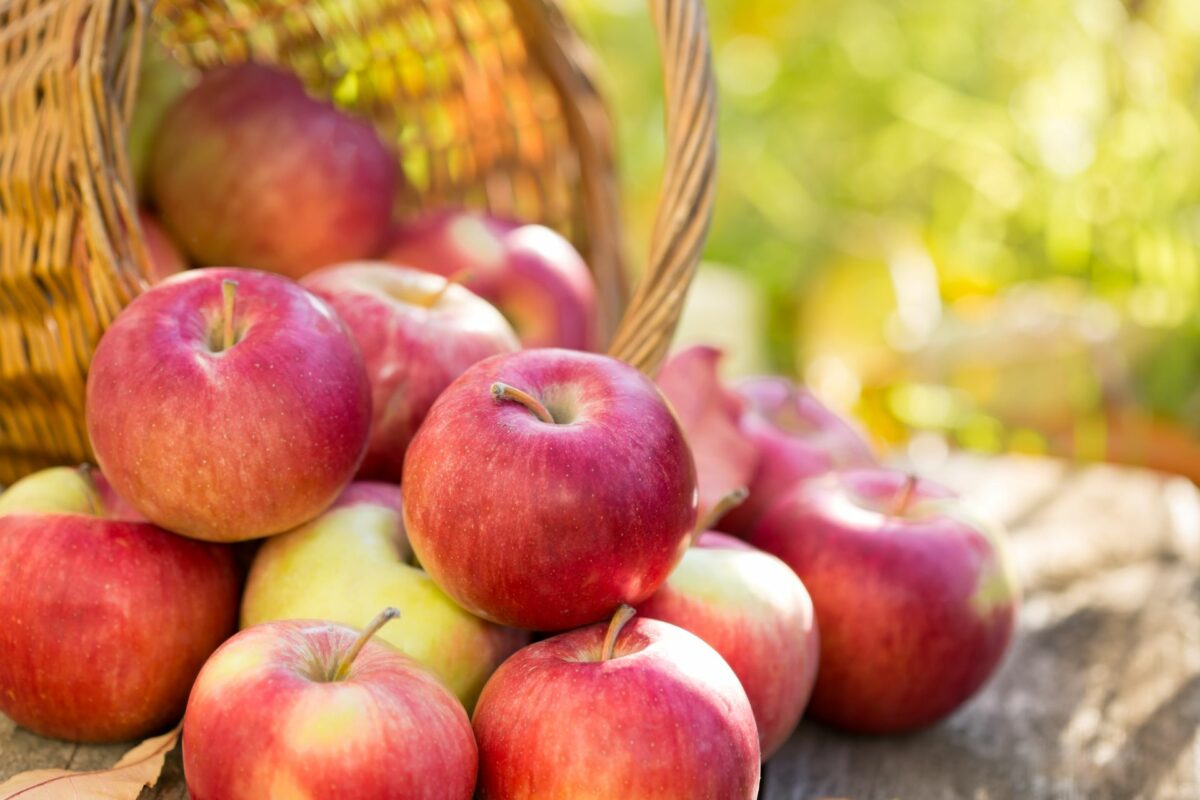 pommes-rouges-sortant-dun-panier