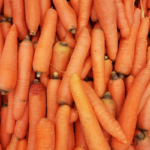 carottes des sables