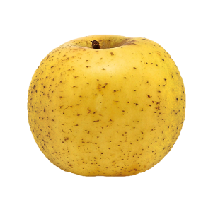 pomme-belchard